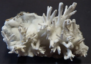 Frankreich/Grand Est, Région/Haut-Rhin, Département/Colmar-Ribeauvillé, Arrondissement/Sainte-Marie-aux-Mines (Markirch)/Neuenberg/St. Wilhelm Gang