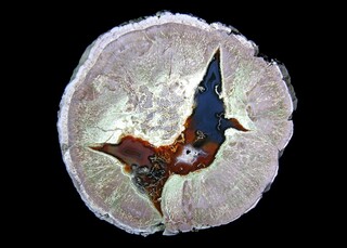 Argentinien/Patagonien/Chubut, Provinz/Cushamen, Departamento/Piedra Parada (Mirador)