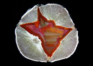 Argentinien/Patagonien/Chubut, Provinz/Cushamen, Departamento/Piedra Parada (Mirador)