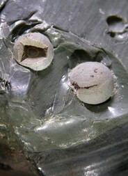 USA/Oregon/Harney County/Burns/Glass Butte