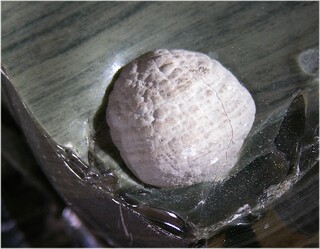 USA/Oregon/Harney County/Burns/Glass Butte