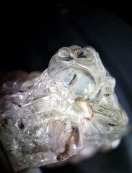 Deutschland/Hessen/Darmstadt, Bezirk/Main-Kinzig-Kreis/Neuberg/Rüdigheim