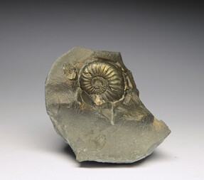 Deutschland/Bayern/Oberfranken, Bezirk/Bamberg, Landkreis/Buttenheim, Gemeinde/Tongrube Holzbachacker