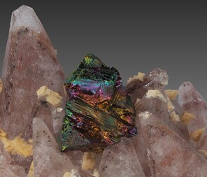 Deutschland/Baden-Württemberg/Freiburg, Bezirk/Ortenaukreis/Steinach/Steinbruch Artenberg