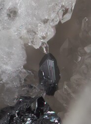 Deutschland/Baden-Württemberg/Freiburg, Bezirk/Ortenaukreis/Steinach/Steinbruch Artenberg