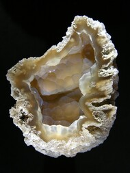 USA/Florida/Hillsborough County/Tampa/Tampa Bay/Ballast Point