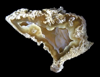 USA/Florida/Hillsborough County/Tampa/Tampa Bay/Ballast Point