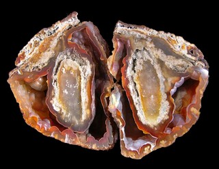 USA/Georgia/Lowndes County