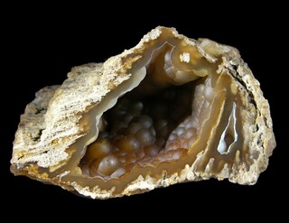 USA/Georgia/Lowndes County