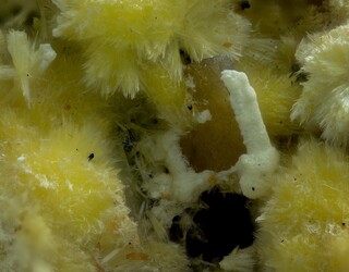 Deutschland/Bayern/Oberpfalz, Bezirk/Schwandorf, Landkreis/Wölsendorf, Revier/Wölsendorf/Grube Johannesschacht