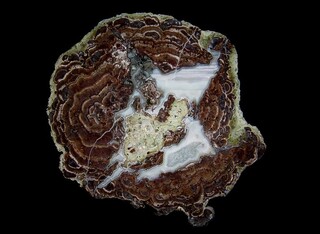 USA/Kalifornien (California)/Riverside County/Mule Mts./Wiley Well District/Rainey's Well