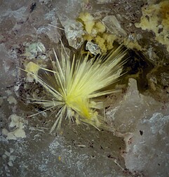 Deutschland/Bayern/Oberfranken, Bezirk/Wunsiedel im Fichtelgebirge, Landkreis/Kirchenlamitz, Stadtgemeinde/Großschloppen, Ortsteil/Grube Christa