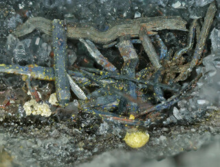 Italien/Toskana (Toscana)/Grosseto, Provinz/Scansano/Pereta/Pereta Mine