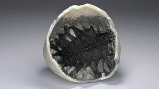 Deutschland/Schleswig-Holstein/Steinburg, Landkreis/Kronsmoor