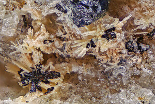 Deutschland/Rheinland-Pfalz/Mayen-Koblenz-Kreis/Mendig, Verbandsgemeinde