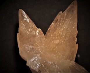 Österreich/Niederösterreich/Bruck an der Leitha, Bezirk/Mannersdorf am Leithagebirge, Stadtgemeinde/Kalksteinbruch Perlmooser