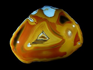 Madagaskar/Boeny, Region/Ankarafantsika National Park/Mahajamba