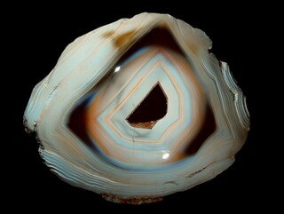 Madagaskar/Boeny, Region/Ankarafantsika National Park/Mahajamba