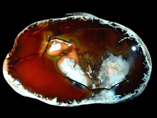 Madagaskar/Boeny, Region/Ankarafantsika National Park/Mahajamba