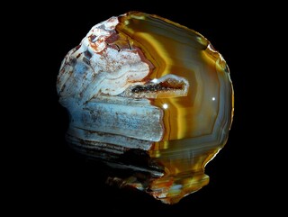 Madagaskar/Boeny, Region/Ankarafantsika National Park/Mahajamba