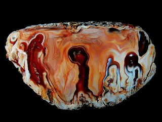 Madagaskar/Boeny, Region/Ankarafantsika National Park/Mahajamba