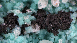 Deutschland/Schleswig-Holstein/Pinneberg, Landkreis/Helgoland, Insel/Westerkliff (Westklippe)