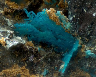 Deutschland/Bayern/Oberpfalz, Bezirk/Neustadt an der Waldnaab, Landkreis/Waidhaus/Hagendorf/Hagendorf-Süd (Grube Cornelia)