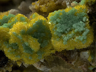 Deutschland/Baden-Württemberg/Freiburg, Bezirk/Waldshut, Landkreis/St. Blasien, Stadtgemeinde/Menzenschwand, Ortsteil/Krunkelbach