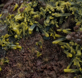 Deutschland/Baden-Württemberg/Freiburg, Bezirk/Waldshut, Landkreis/St. Blasien, Stadtgemeinde/Menzenschwand, Ortsteil/Krunkelbach