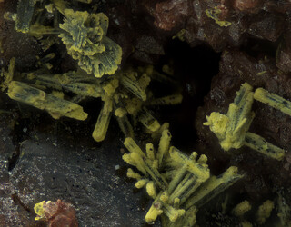 Deutschland/Baden-Württemberg/Freiburg, Bezirk/Waldshut, Landkreis/St. Blasien, Stadtgemeinde/Menzenschwand, Ortsteil/Krunkelbach