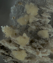 Deutschland/Bayern/Oberpfalz, Bezirk/Neustadt an der Waldnaab, Landkreis/Waidhaus/Hagendorf/Hagendorf-Süd (Grube Cornelia)