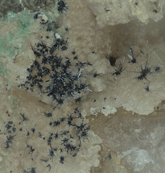 Deutschland/Bayern/Oberpfalz, Bezirk/Tirschenreuth, Landkreis/Erbendorf, Stadt/Silberrangen