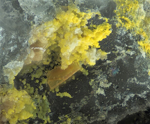 Deutschland/Bayern/Oberpfalz, Bezirk/Neustadt an der Waldnaab, Landkreis/Waidhaus/Hagendorf/Hagendorf-Süd (Grube Cornelia)