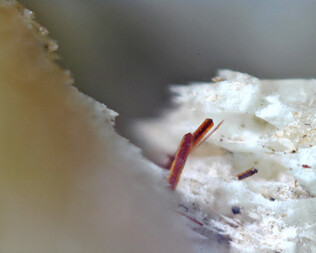 Deutschland/Bayern/Oberbayern, Bezirk/Bad Tölz-Wolfratshausen, Landkreis/Lenggries, Gemeinde/Steinbruch Untermurbach