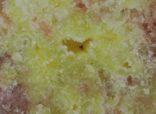 Deutschland/Rheinland-Pfalz/Donnersbergkreis/Winnweiler, Verbandsgemeinde/Schweisweiler, Ortsgemeinde