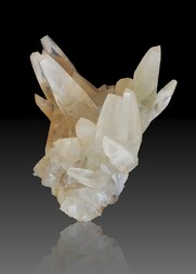 Deutschland/Rheinland-Pfalz/Donnersbergkreis/Kirchheimbolanden, Verbandsgemeinde/Bolanden, Gemeinde/Giro am Mannbühl