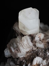 Deutschland/Rheinland-Pfalz/Donnersbergkreis/Kirchheimbolanden, Verbandsgemeinde/Bolanden, Gemeinde/Giro am Mannbühl