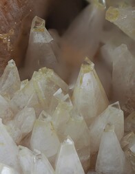 Deutschland/Rheinland-Pfalz/Donnersbergkreis/Kirchheimbolanden, Verbandsgemeinde/Bolanden, Gemeinde/Giro am Mannbühl