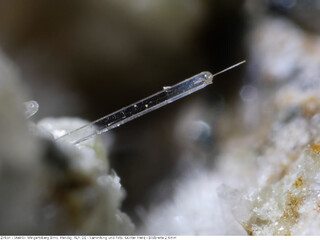 Deutschland/Rheinland-Pfalz/Mayen-Koblenz-Kreis/Mendig, Verbandsgemeinde/Wingertsberg/Bimsüberdeckung