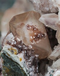 Deutschland/Rheinland-Pfalz/Donnersbergkreis/Kirchheimbolanden, Verbandsgemeinde/Bolanden, Gemeinde/Giro am Mannbühl