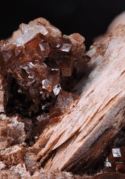 Deutschland/Rheinland-Pfalz/Donnersbergkreis/Kirchheimbolanden, Verbandsgemeinde/Bolanden, Gemeinde/Giro am Mannbühl