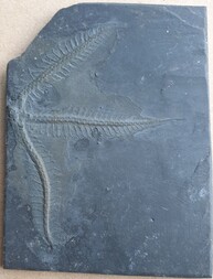 Deutschland/Rheinland-Pfalz/Birkenfeld, Landkreis/Herrstein-Rhaunen, Verbandsgem./Bundenbach