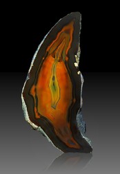 Brasilien/Süden (Região Sul)/Rio Grande do Sul/Soledade