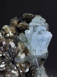 Pakistan/Gilgit-Baltistan (Nordgebiete; Northern Areas)/Hunza-Nagar, Distrikt/Hunza-Tal/Chumar Bakhoor