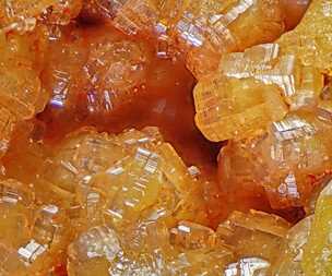 Italien/Kampanien (Campania), Region/Metropolitanstadt Neapel/Somma-Vesuv-Komplex/Monte Somma