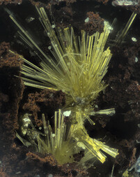 Deutschland/Baden-Württemberg/Freiburg, Bezirk/Waldshut, Landkreis/St. Blasien, Stadtgemeinde/Menzenschwand, Ortsteil/Krunkelbach