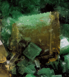 Deutschland/Baden-Württemberg/Freiburg, Bezirk/Waldshut, Landkreis/St. Blasien, Stadtgemeinde/Menzenschwand, Ortsteil/Krunkelbach