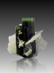 Pakistan/Gilgit-Baltistan (Nordgebiete; Northern Areas)/Skardu, Distrikt/Nanga Parbat-Haramosh-Berge/Stak Nala