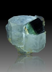 Pakistan/Gilgit-Baltistan (Nordgebiete; Northern Areas)/Skardu, Distrikt/Nanga Parbat-Haramosh-Berge/Stak Nala