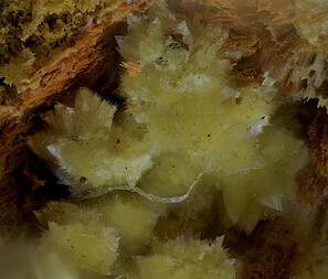 Deutschland/Bayern/Oberpfalz, Bezirk/Neustadt an der Waldnaab, Landkreis/Waidhaus/Hagendorf/Hagendorf-Süd (Grube Cornelia)